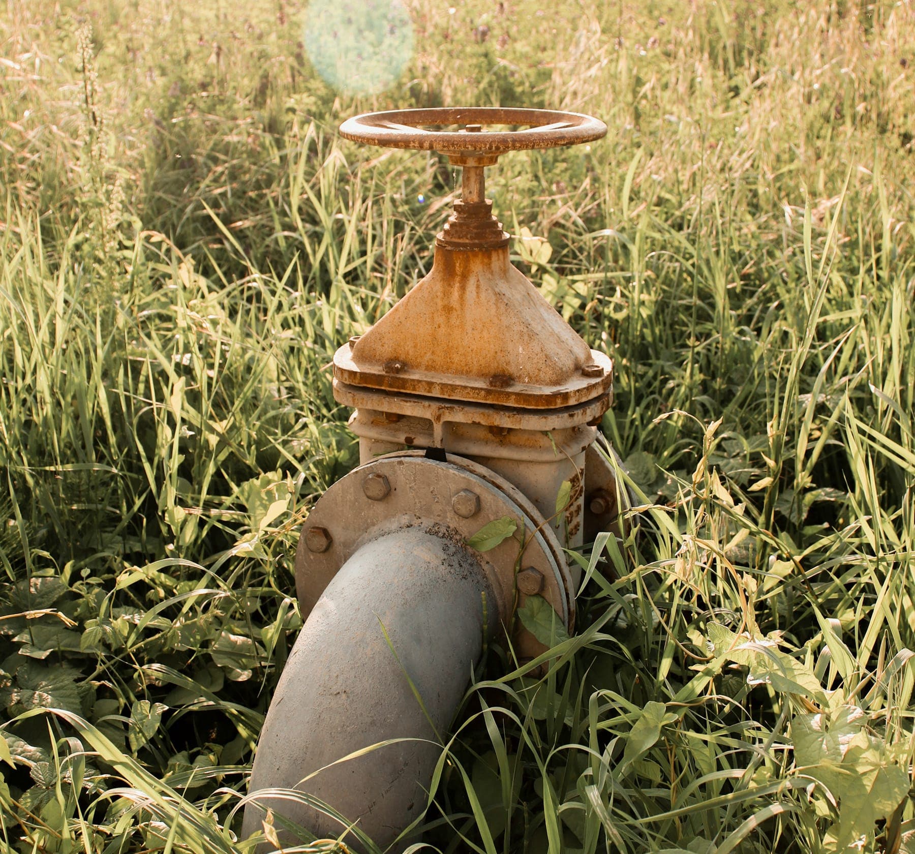 Rusted irrigation valve in a Yolo County field.