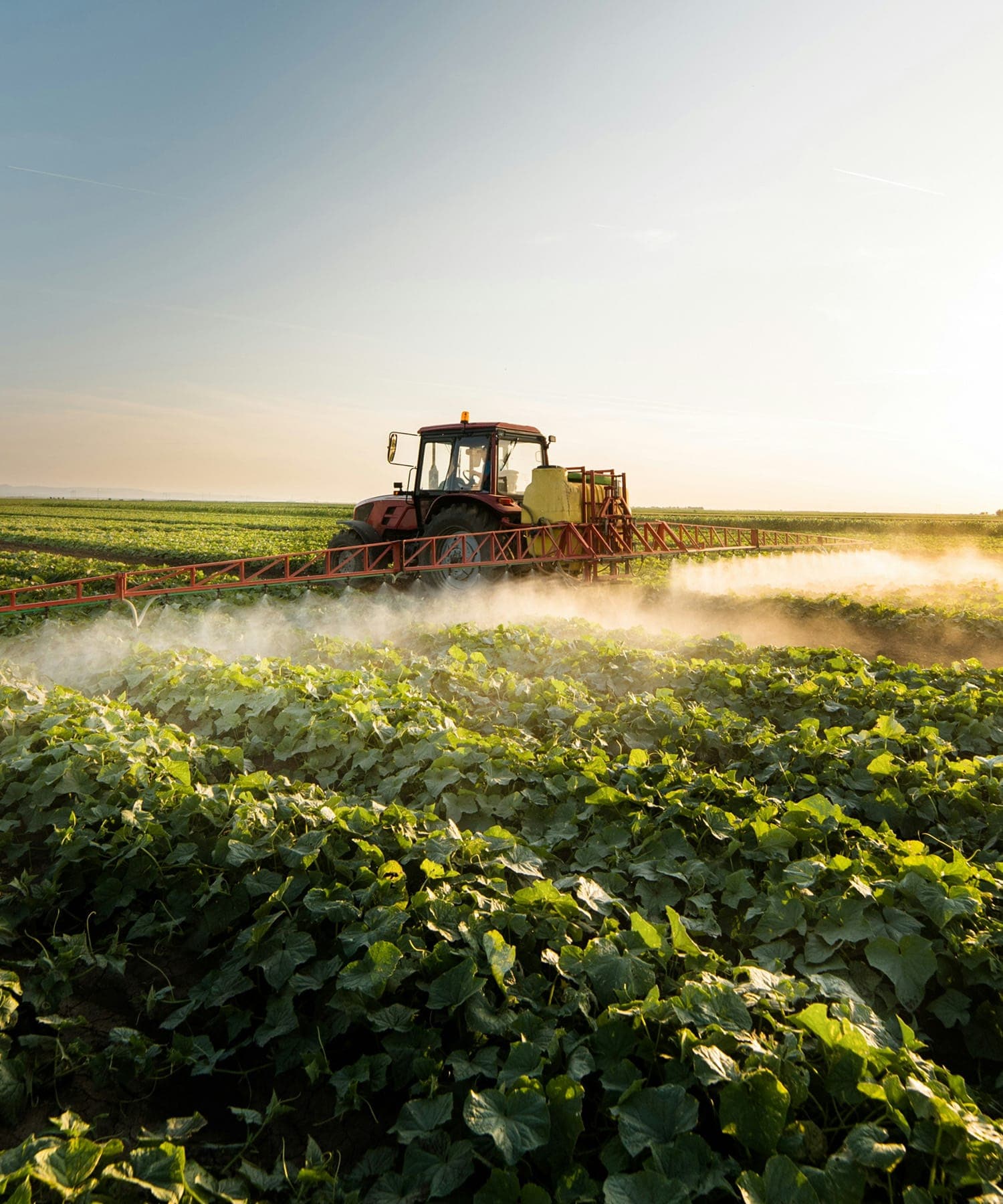 Tractor spraying crops in Yolo County.