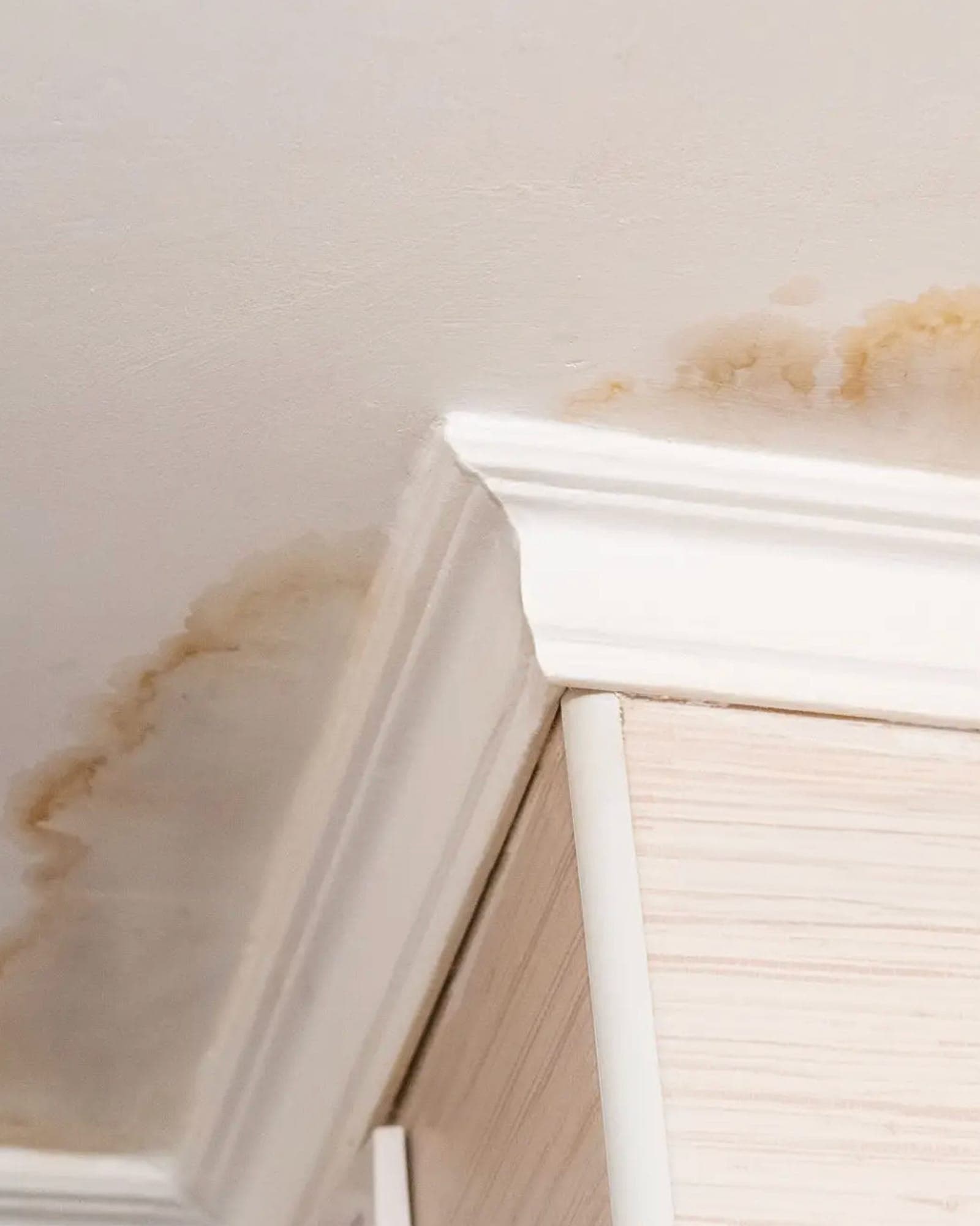 Close-up of a water stain spreading across a painted ceiling.