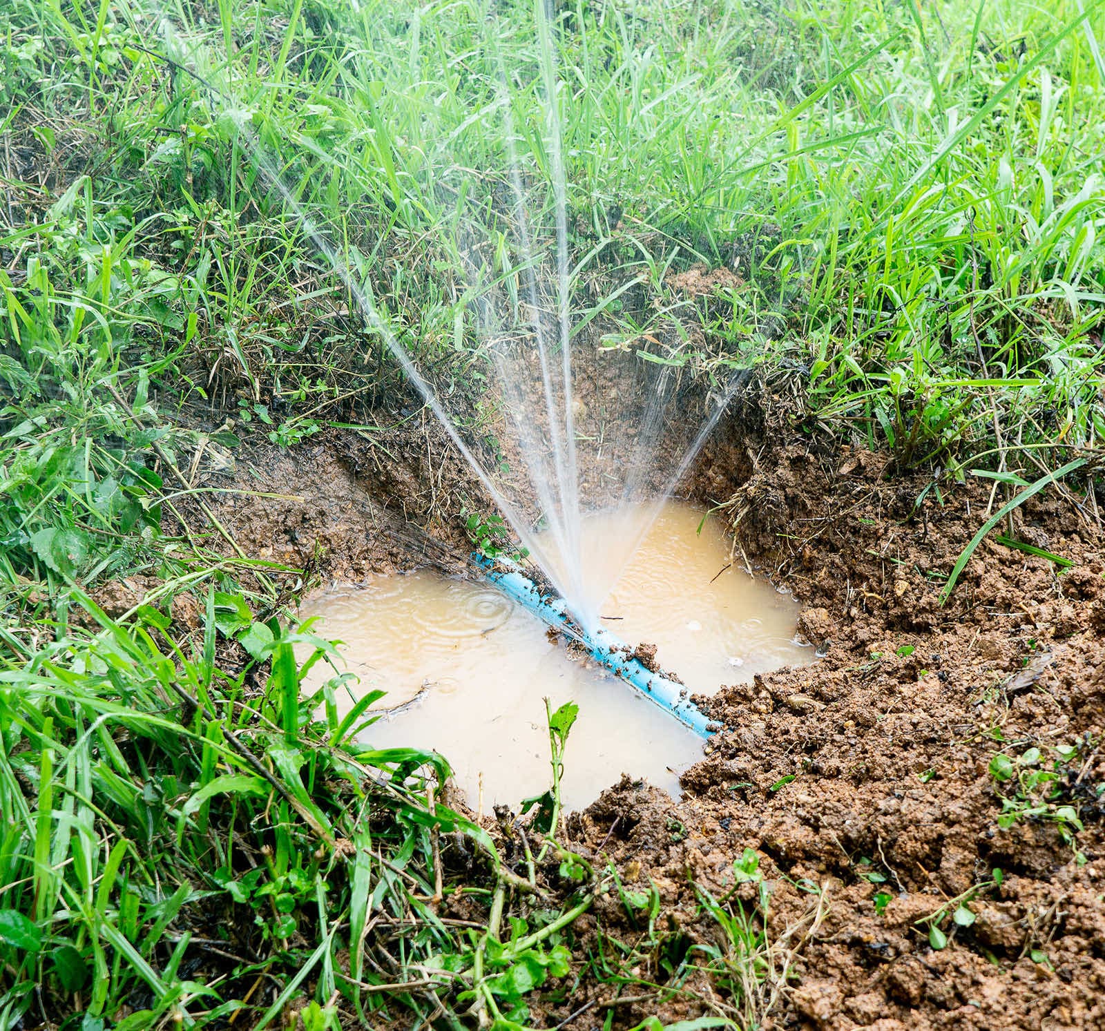 A burst underground water line spraying from the soil across a managed property's lawn.