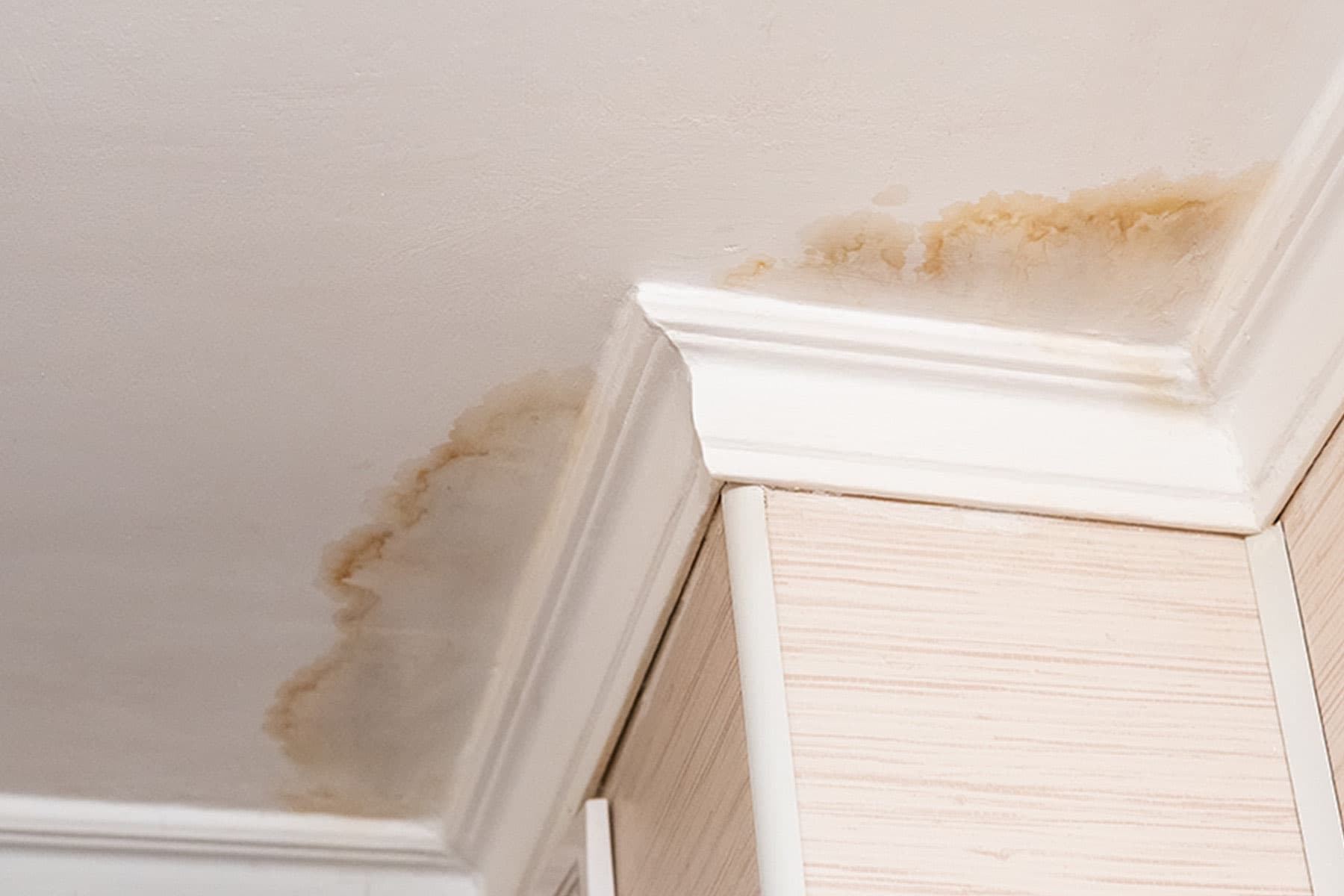 Brown water stains spreading across a ceiling and crown molding from a hidden leak in a managed unit.